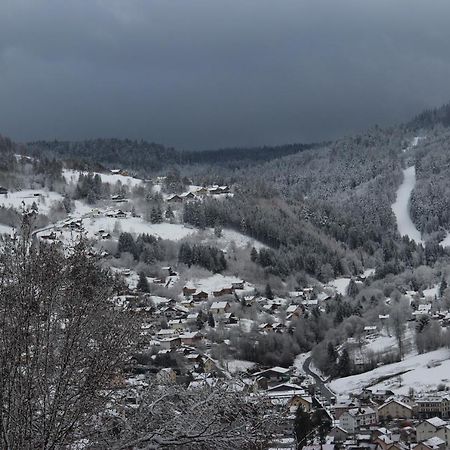 Apartement Sur Les Hauteurs De Gerardmer Avec Une Superbe Vue المظهر الخارجي الصورة