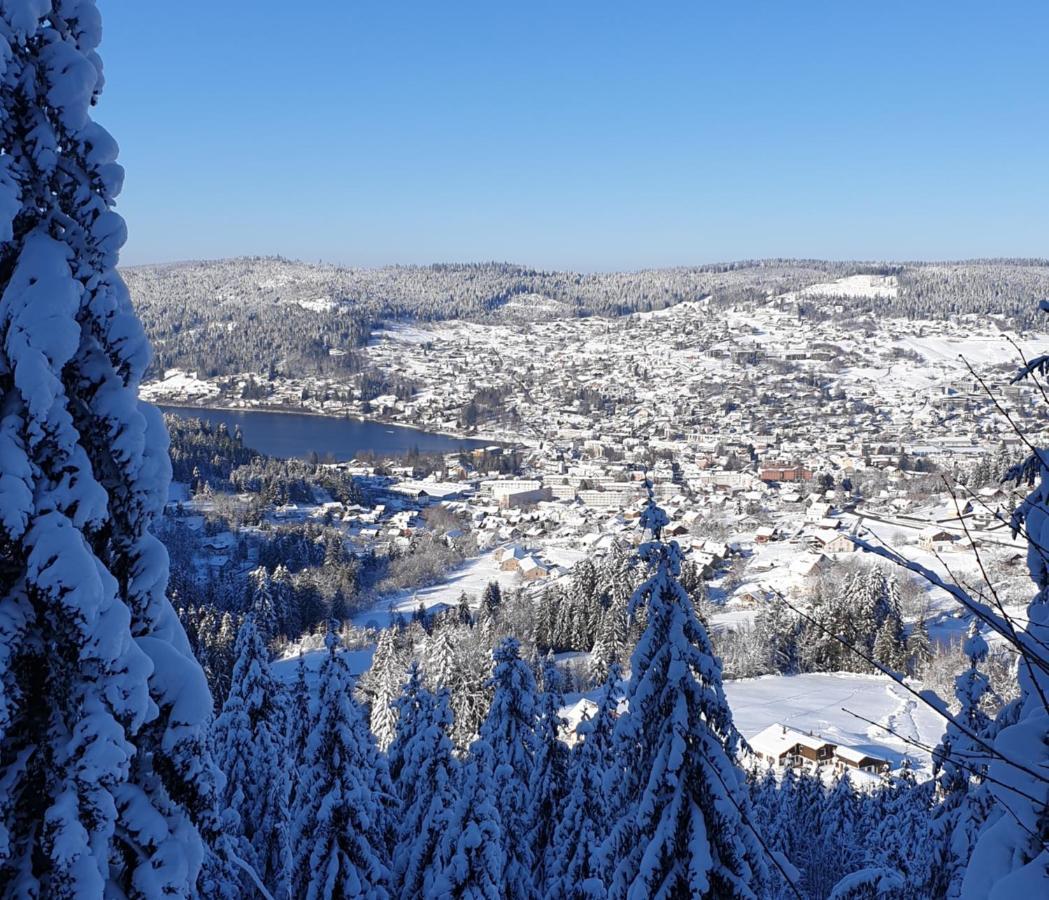 Apartement Sur Les Hauteurs De Gerardmer Avec Une Superbe Vue المظهر الخارجي الصورة